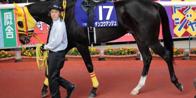 【愛知杯2020予想】デンコウアンジュ×柴田善臣、人馬ともにベテランの技で道を切り開けるか？