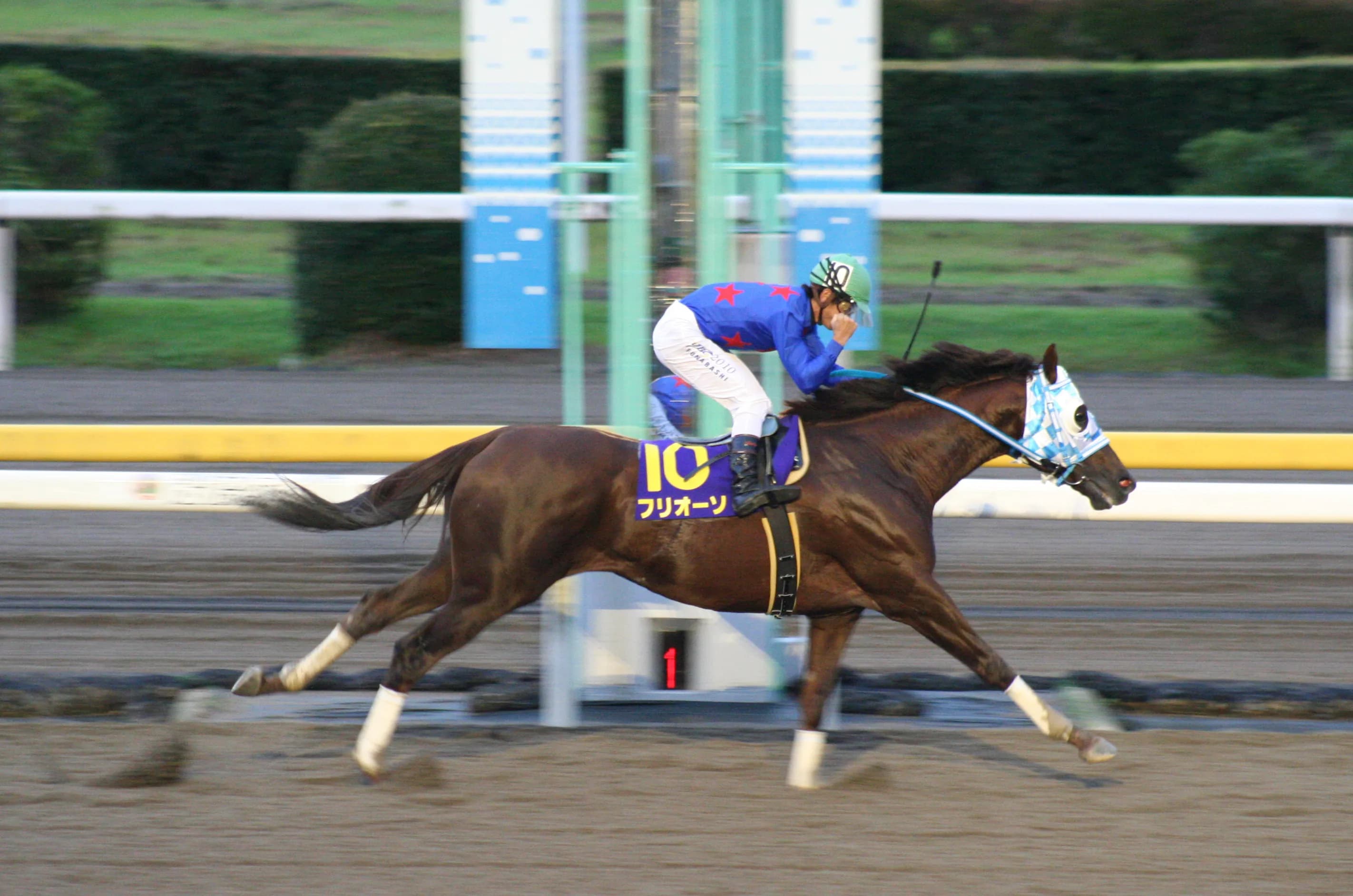 ブライアンズタイム後継種牡馬フリオーソ