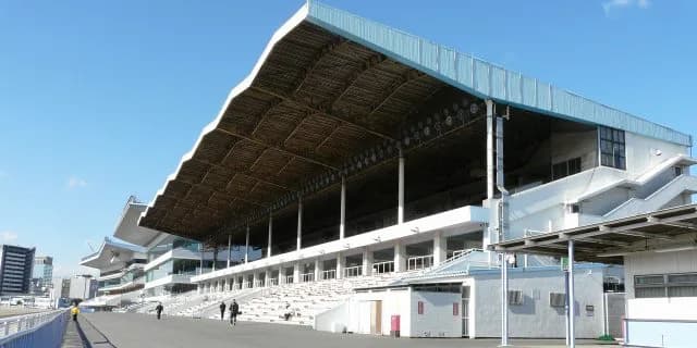 【川崎記念2017予想】絶好調の鞍上に導かれてGⅠ制覇だ！ケイティブレイブ。