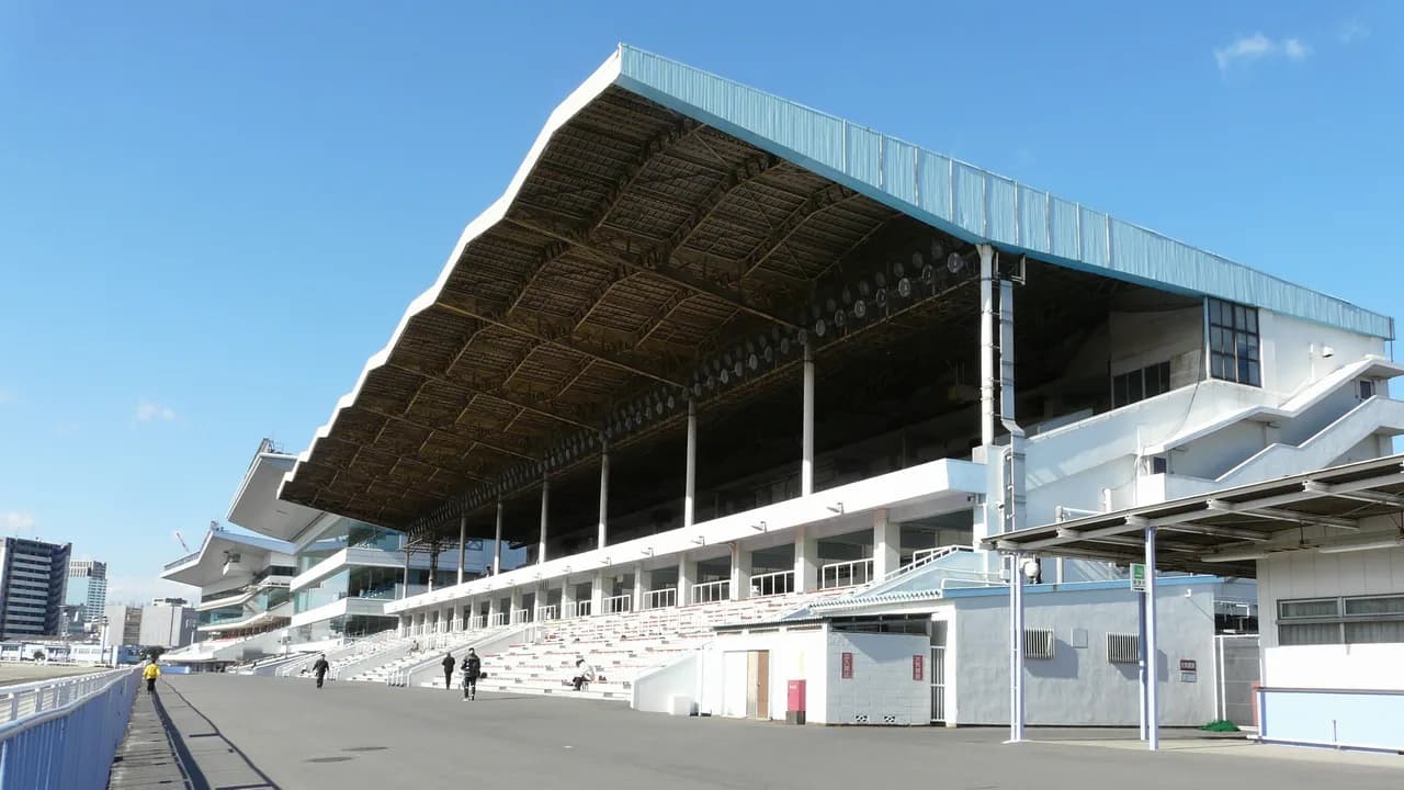 【川崎記念2017予想】絶好調の鞍上に導かれてGⅠ制覇だ！ケイティブレイブ。