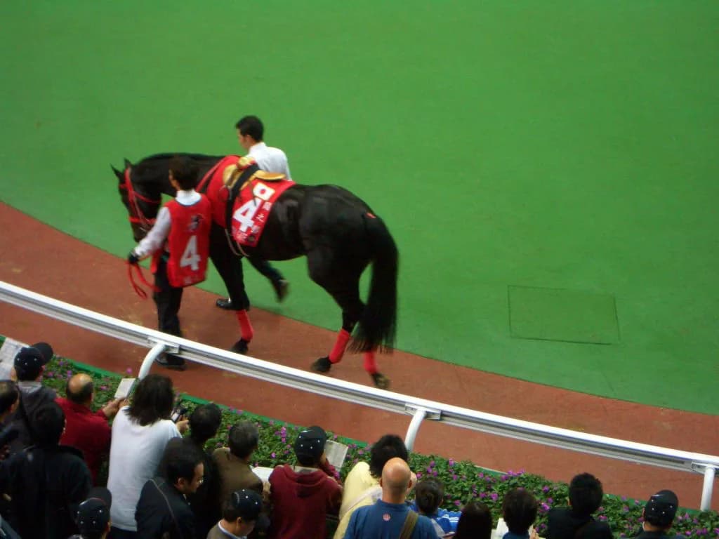 アイルランドに渡ったシャドウゲイト