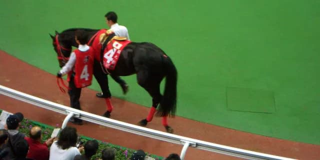 アイルランドに渡ったシャドウゲイト