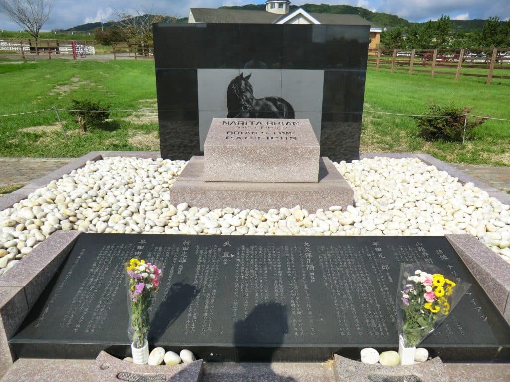 【追憶の名馬面】ナリタブライアン