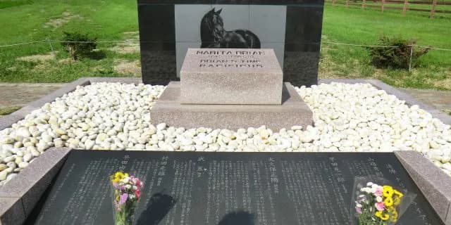 【追憶の名馬面】ナリタブライアン