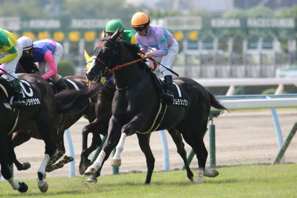 兄よりキレる脚を使えるか注目したいディープインパクト産駒ファンディーナ