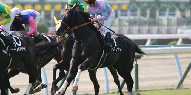 兄よりキレる脚を使えるか注目したいディープインパクト産駒ファンディーナ