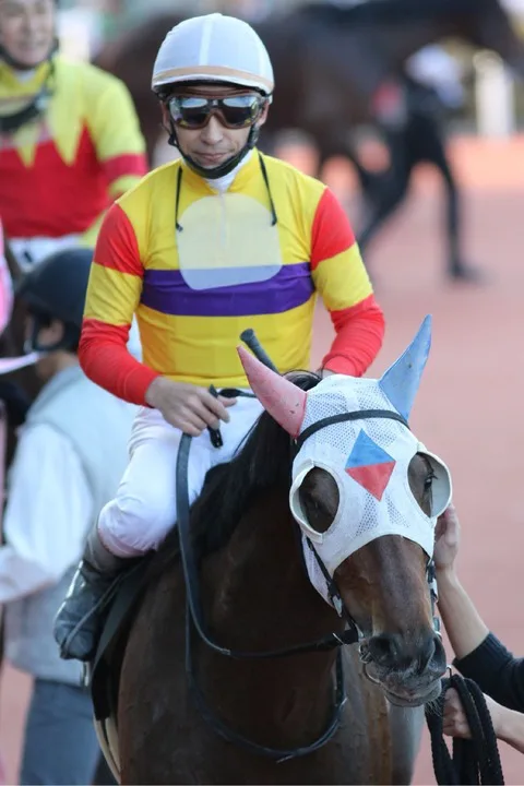 【シリウスS2017】充実一途のミツバ、G1取りへ向けて3連勝へ