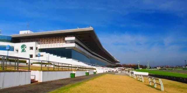 【AJCC予想2017】セントライト2着の”ゼーヴィント”、中山芝2200mはベストの舞台