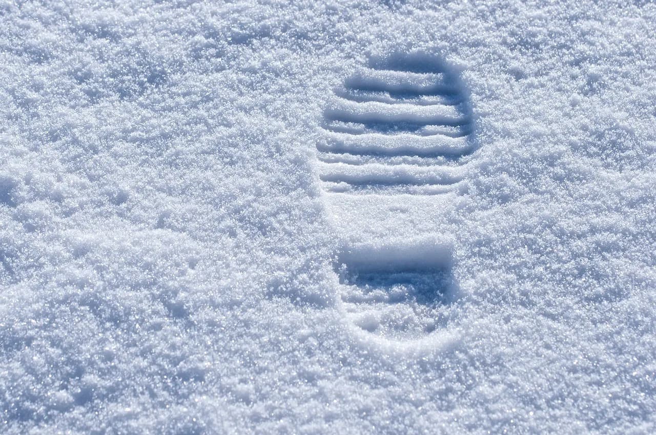 先週に引き続き今週は土曜日の中山開催がピンチ！？