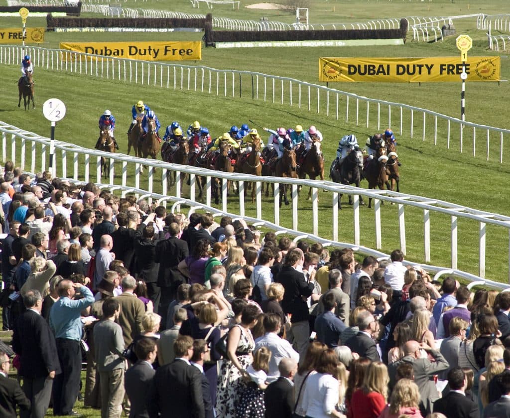 充実の競馬ライフ