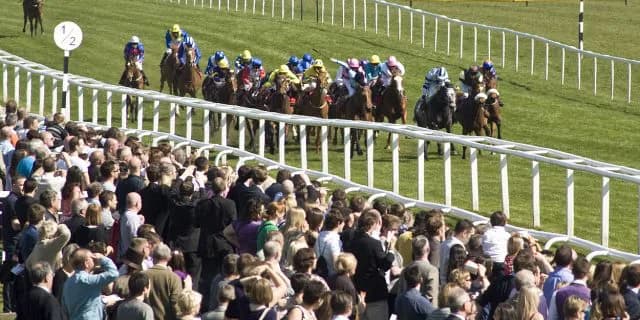 充実の競馬ライフ