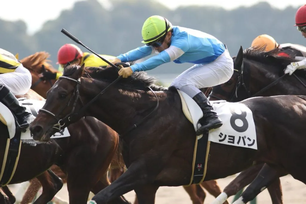 【尼崎S予想2017】名牝の仔が準オープンで激突！