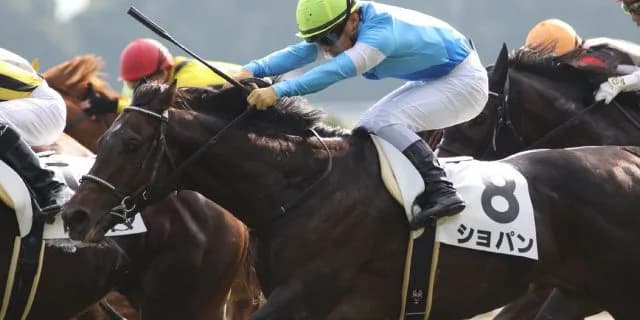 【尼崎S予想2017】名牝の仔が準オープンで激突！