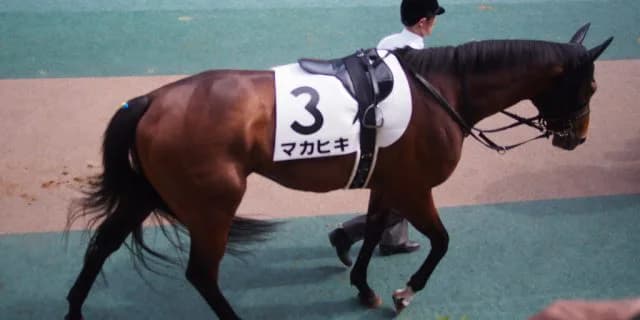 マカヒキ、骨折。3ヶ月以上の休養