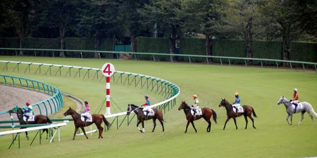 【中山記念2017予想】豪華すぎるメンバーが揃った春競馬の開幕戦！