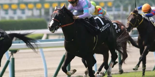【飛鳥S予想2017】○○の兄とは呼ばれないためにも結果が欲しい！