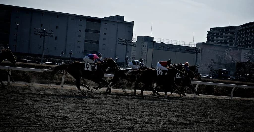 【川崎記念2017結果】オールブラッシュ逃げ切り重賞初制覇！