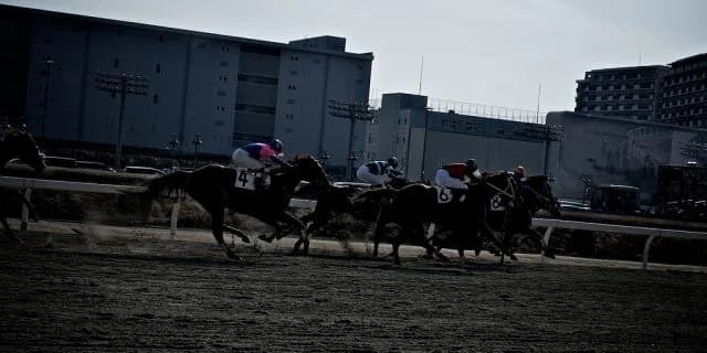【川崎記念2017結果】オールブラッシュ逃げ切り重賞初制覇！