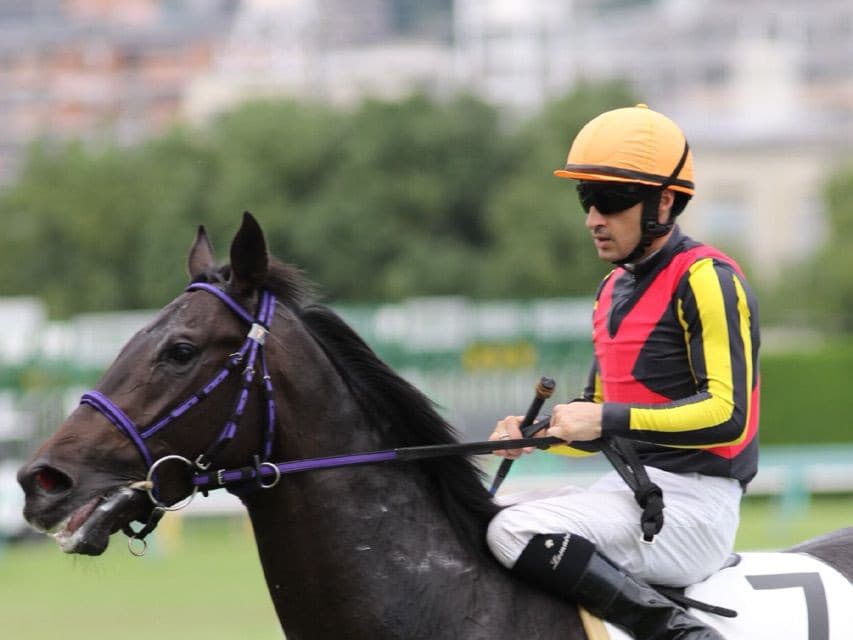 【ヒヤシンスS予想2017】疾風怒濤エピカリス！！