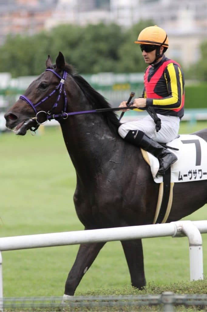 【共同通信杯2017予想】勝負のカギを握るのは”成長力”