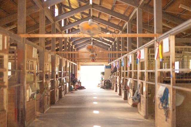 濃密なインブリードを持つクリスマスの初仔が誕生