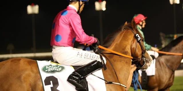 サウジC参戦のウシュバテソーロとウィルソンテソーロはドバイWCへ