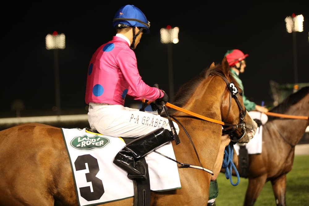 世界の舞台へ！サウンズオブアースとカフジテイク、JRAはドバイの招待受諾