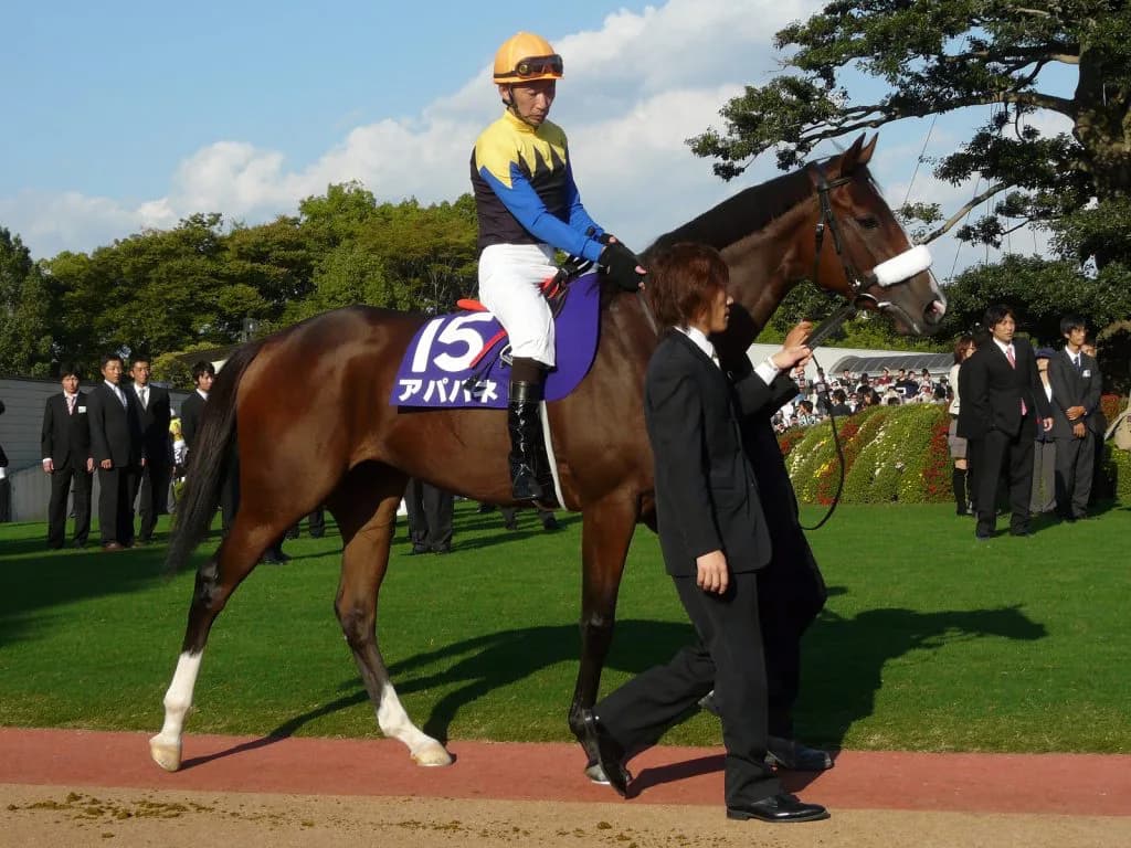 ジナンボー新馬戦で母アパパネに産駒初勝利をプレゼント