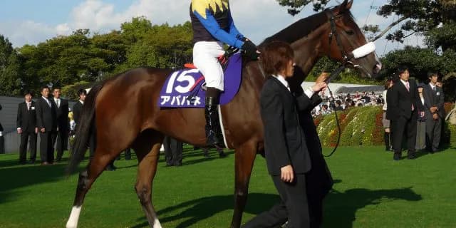 ジナンボー新馬戦で母アパパネに産駒初勝利をプレゼント