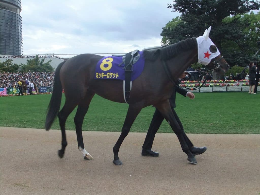 ミッキーロケット