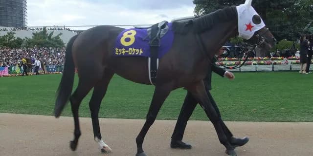 ミッキーロケット