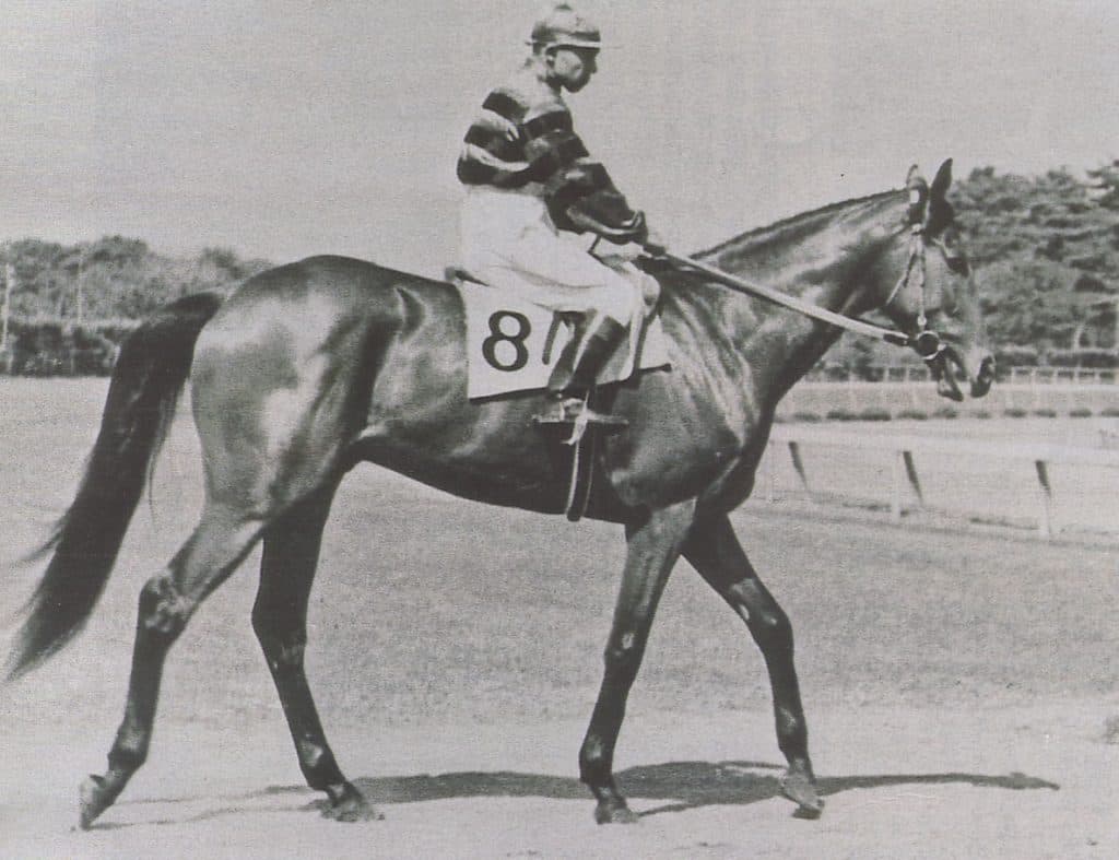 【共同通信杯2017注目馬】同期活躍の波に乗る？石川裕紀人騎乗のアサギリジョー