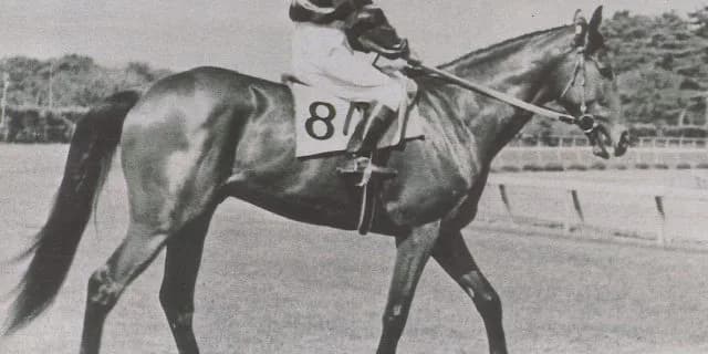 幻の名馬「トキノミノル」がブランド米で復活？