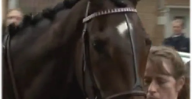 あの名牝に初仔誕生。日本競馬界に三度立ちはだかる壁となるか？