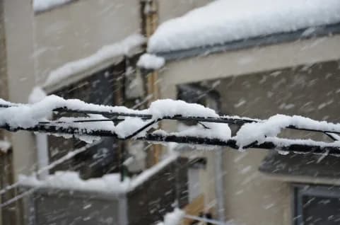 降雪のため、京都競馬の金曜日夜間発売を取りやめ