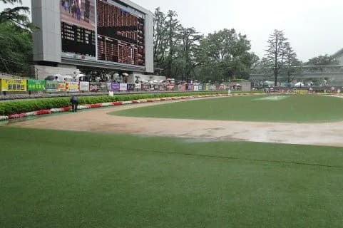 【きさらぎ賞2017】ムーヴザワールド回避、共同通信杯へ