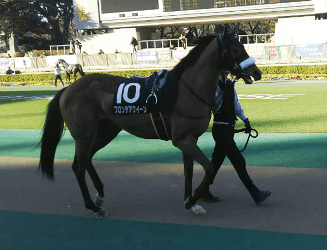 【ターコイズS2017予想】フロンテアクイーン安定感抜群、重賞初Vのチャンス