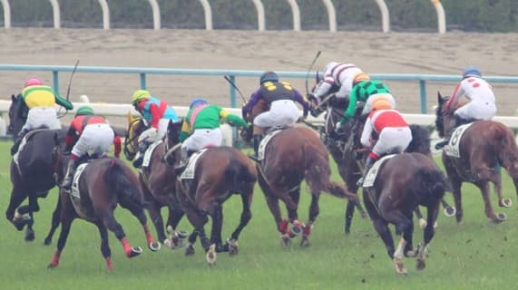 【アーリントンC予想2017】有力馬3頭考察！クラシックを賑わせるのはどの馬だ？