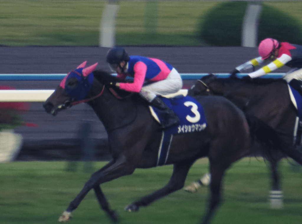 武幸四郎騎手、最後はやっぱりメイショウで！兄と最後の伝説作れるか？