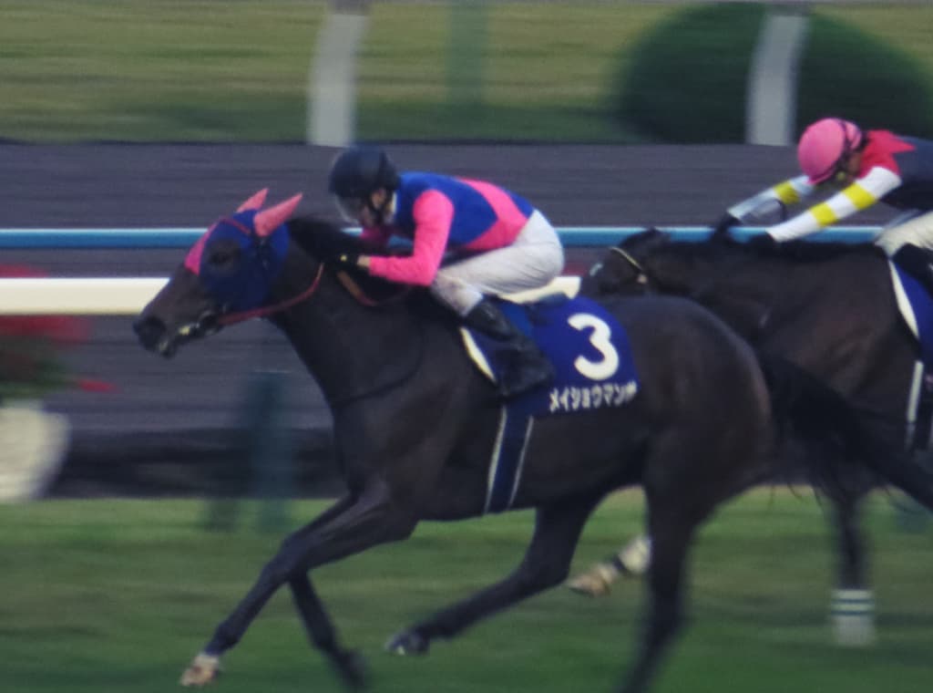 武幸四郎騎手、最後はやっぱりメイショウで！兄と最後の伝説作れるか？