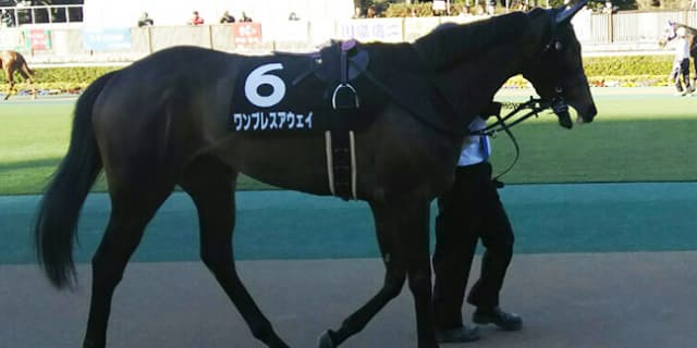 【ターコイズS予想2017】ワンブレスアウェイ、条件良化で巻き返しに期待