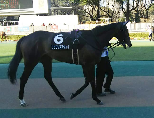 【ターコイズS予想2017】ワンブレスアウェイ、条件良化で巻き返しに期待