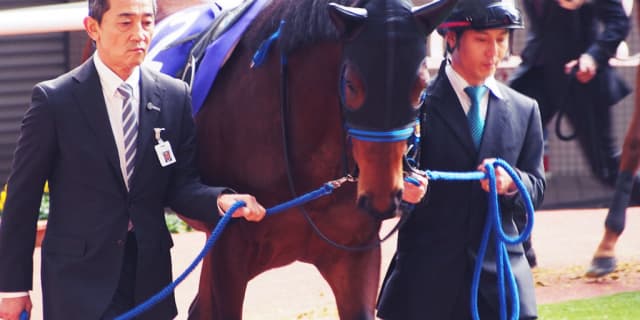 【阪急杯2017予想】紛れの少ない少頭数なら、”本命”は当然この馬