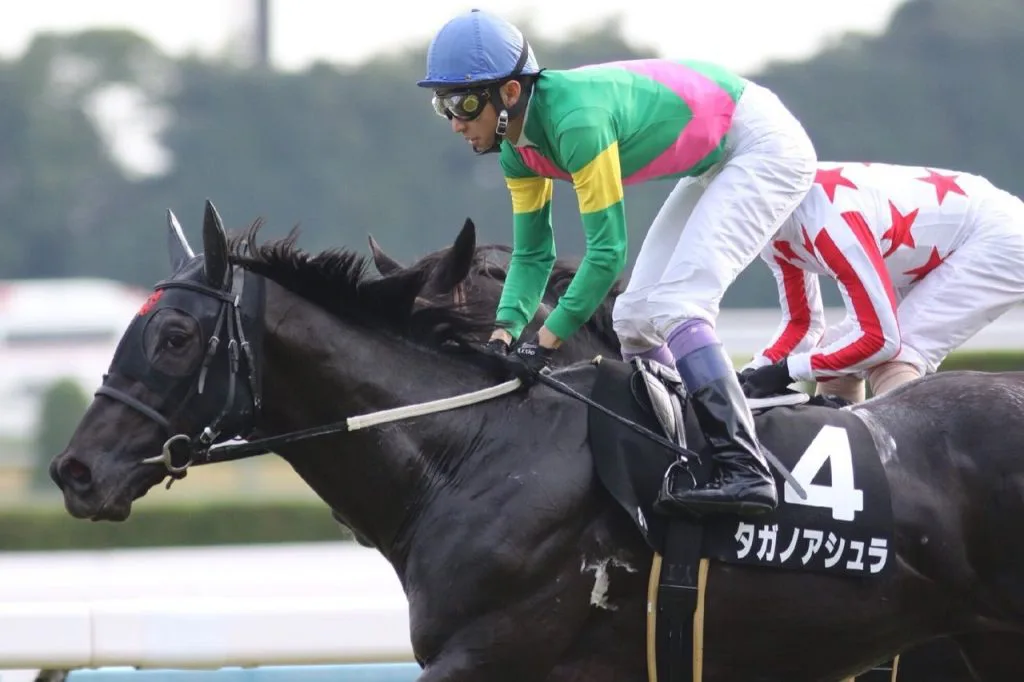 【すみれS注目馬2017】まだ見限れない！ベスト舞台でタガノアシュラの逃げ脚に期待