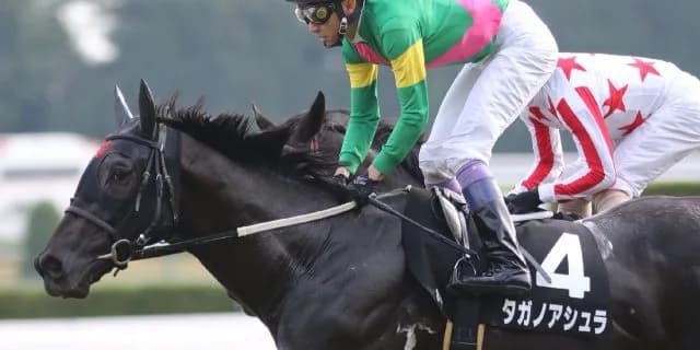 【すみれS注目馬2017】まだ見限れない！ベスト舞台でタガノアシュラの逃げ脚に期待