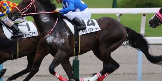 【共同通信杯2017予想】本命は”本当に強い末脚”を秘めたあの馬・・・？！