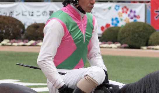 【フェブラリーS2017】サウンドトゥルーは柴田善臣騎手！