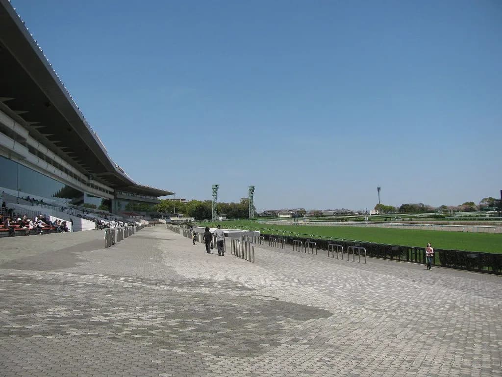 【スピカS予想2017】芝1800かつ中山コースだからこそ狙いたい”穴馬”とは？