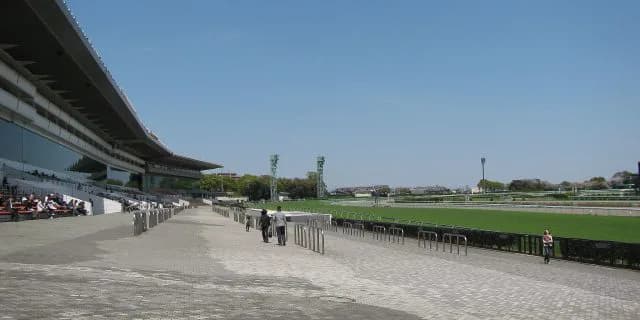 【スピカS予想2017】芝1800かつ中山コースだからこそ狙いたい”穴馬”とは？