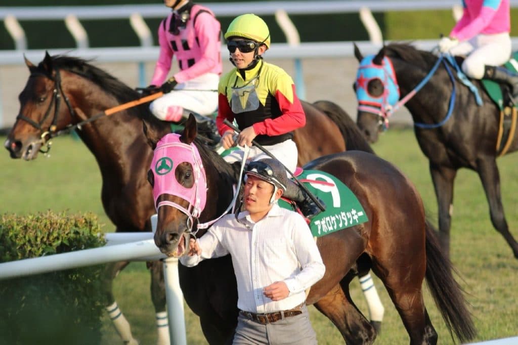 出世馬2年連続輩出中のブリリアントステークス、大混戦の今年も続くことが出来るか？